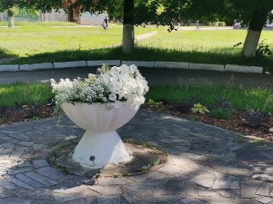 Красота спасет мир!