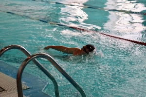 «ДЕНЬ КРОЛИСТА»