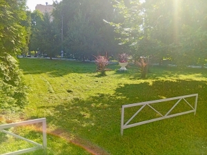 Во Дворце продолжаются работы по покосу травы, обрезке кустарников, ремонту и покраске лавочек.