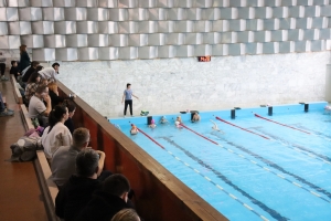 Во Дворце детского творчества уже проходят открытые занятия. 